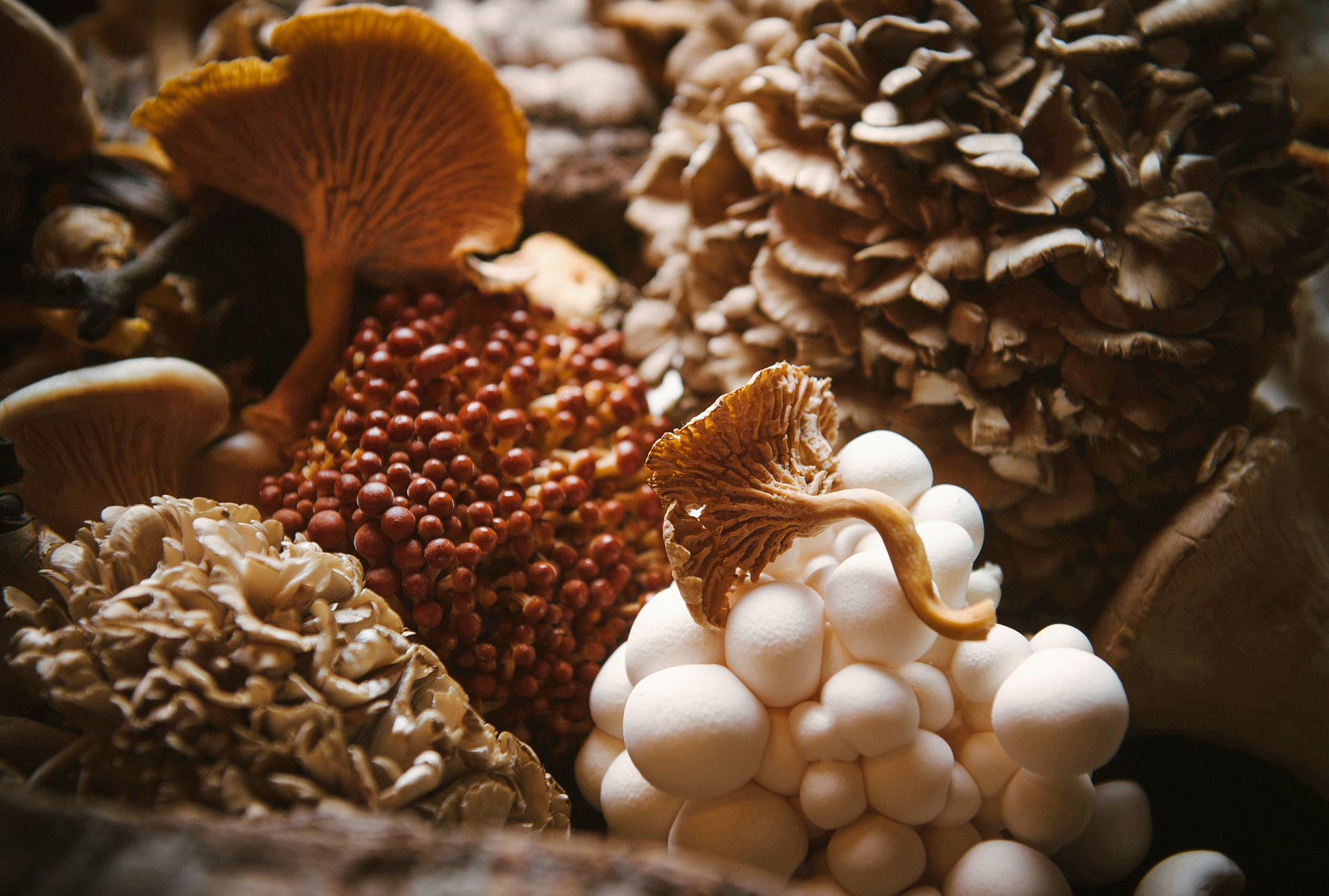 StillLifeFoodPhotographerSanFrancisco