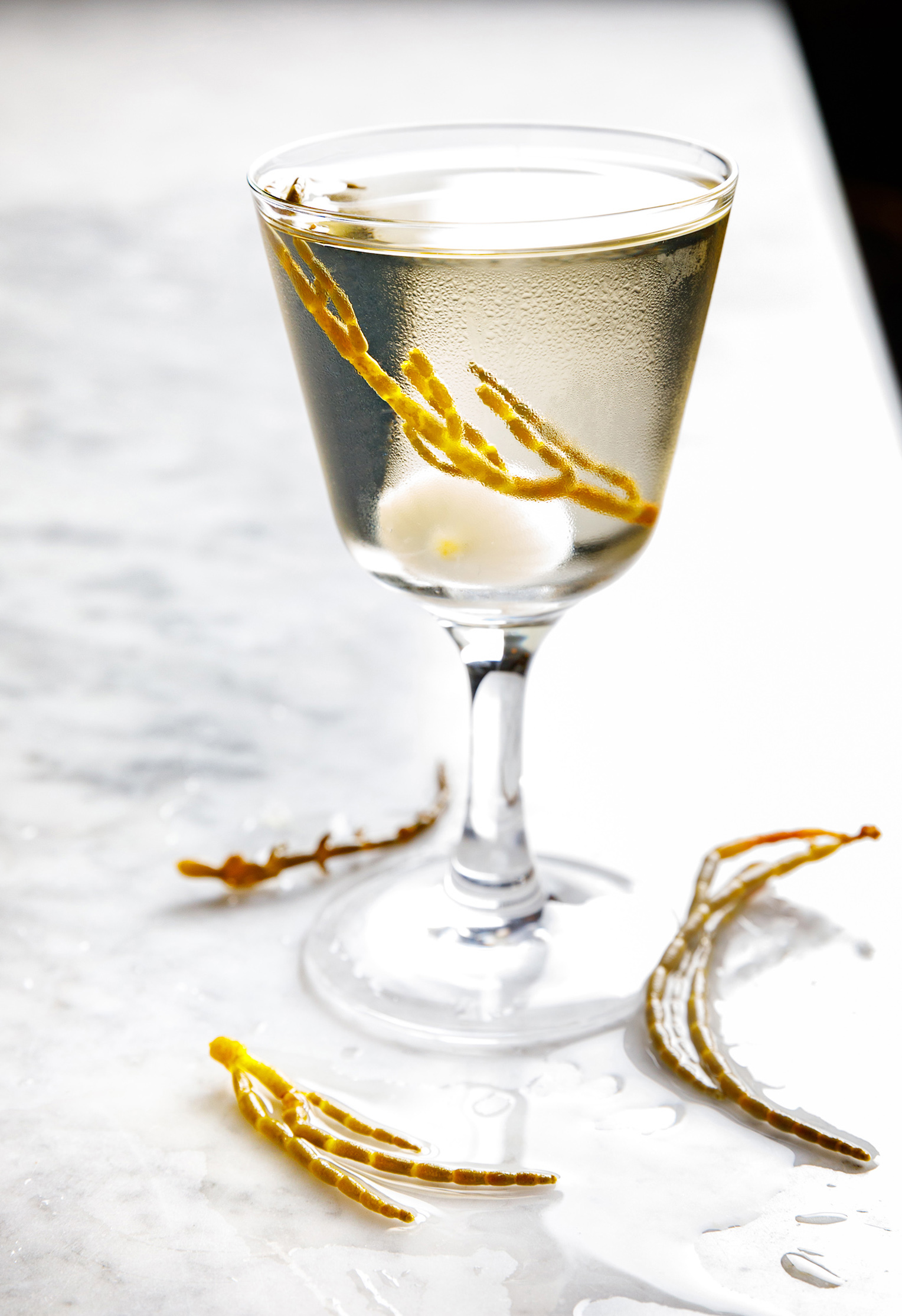 Beverage Photographer